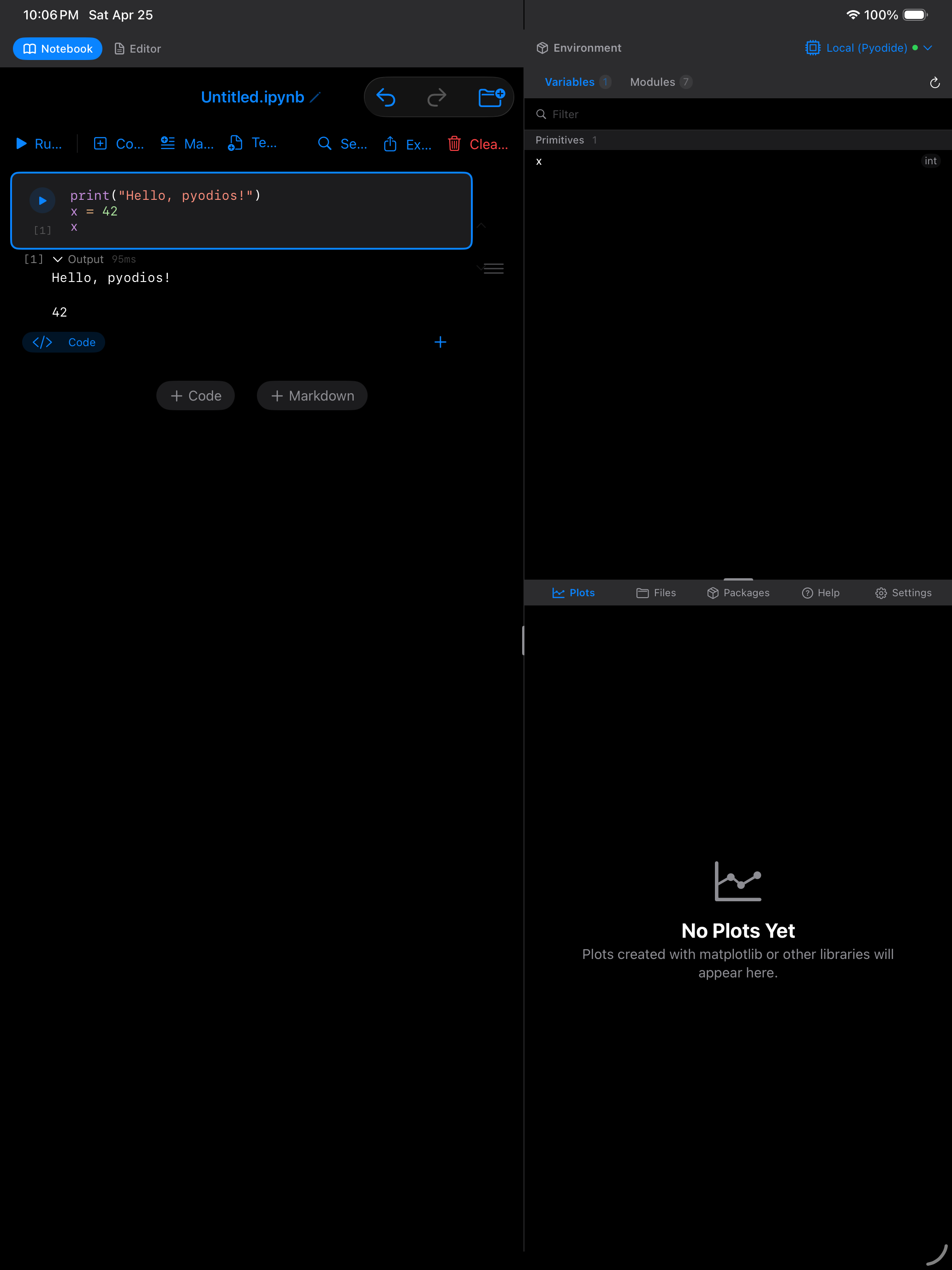 Notebook with Python output on iPad in dark mode