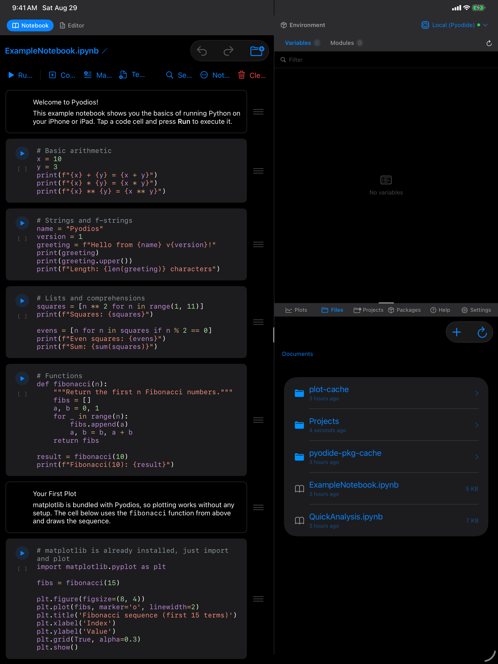 ExampleNotebook open on iPad in dark mode