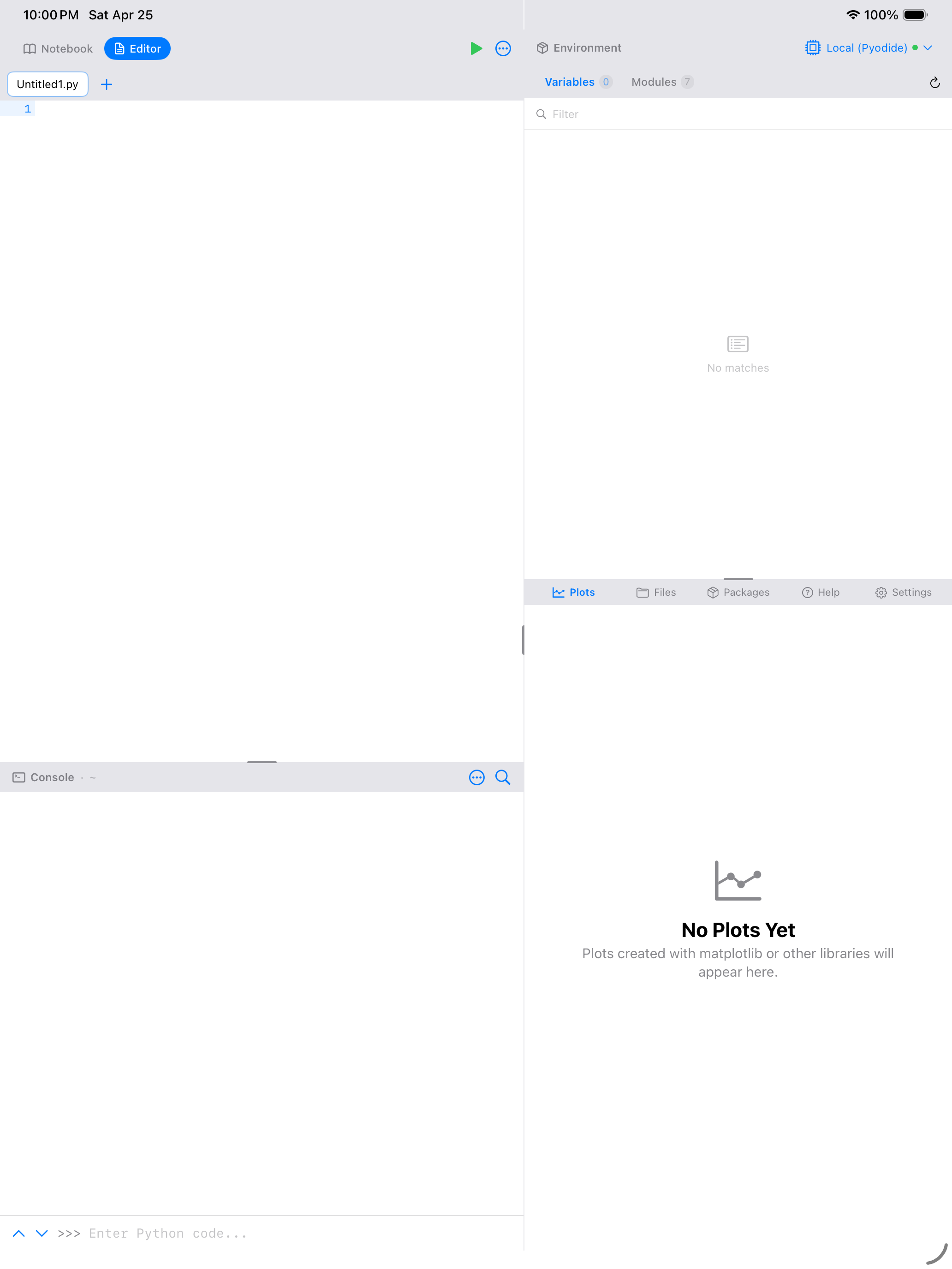 Empty console ready for input on iPad