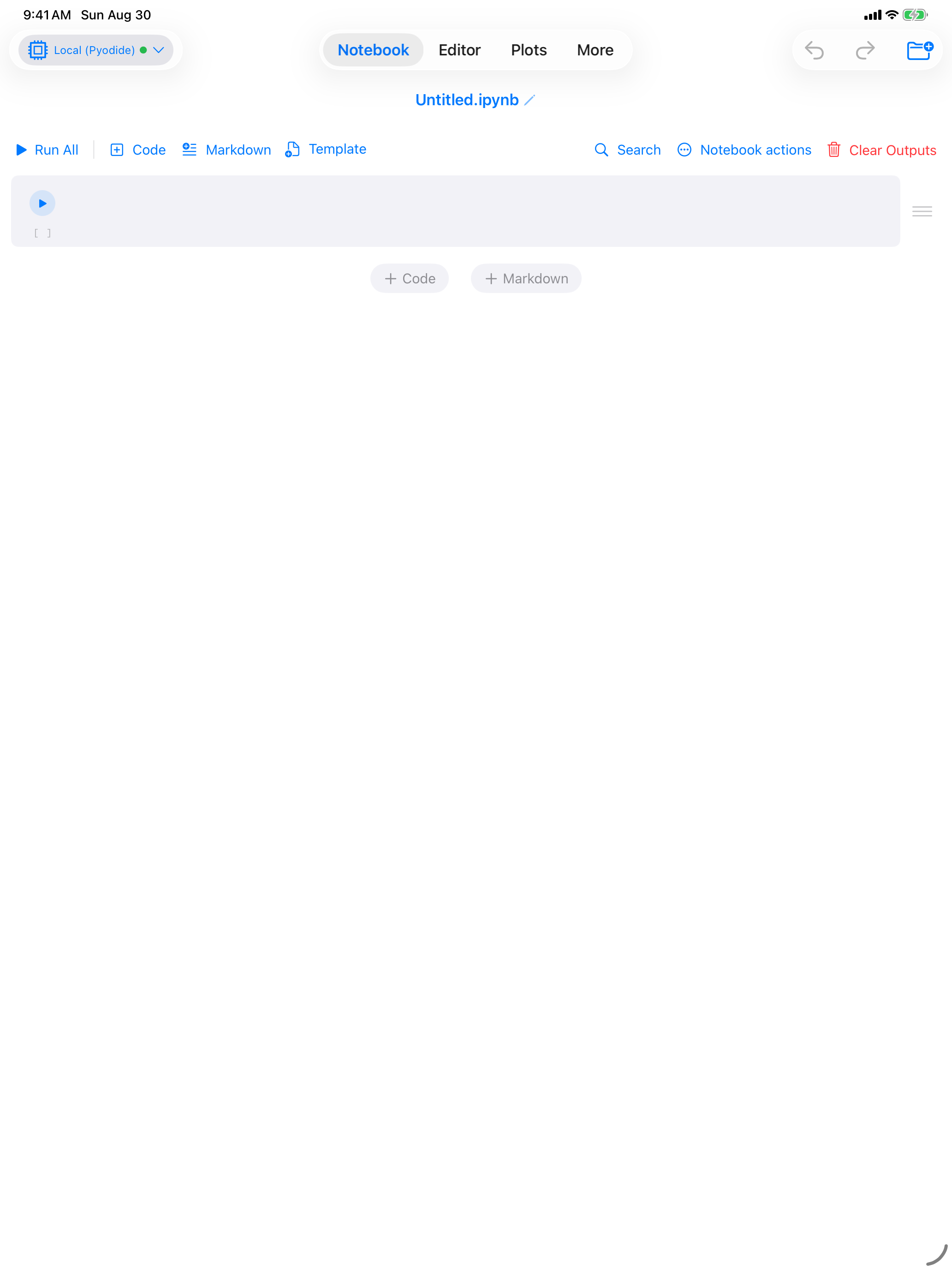 Notebook filling the iPad screen with the tab row along the top