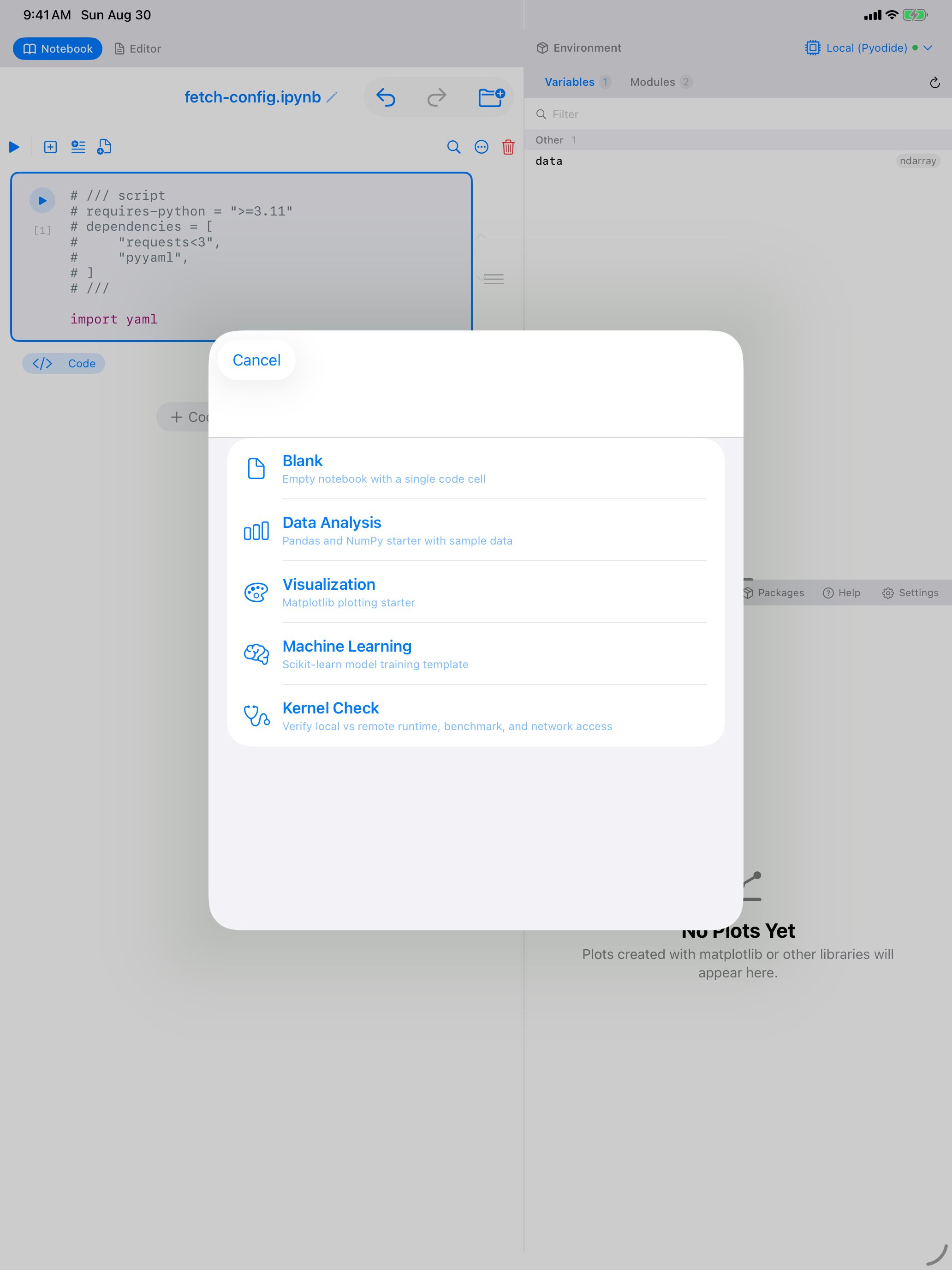 Template picker listing Blank, Data Analysis, Visualization, Machine Learning and Kernel Check