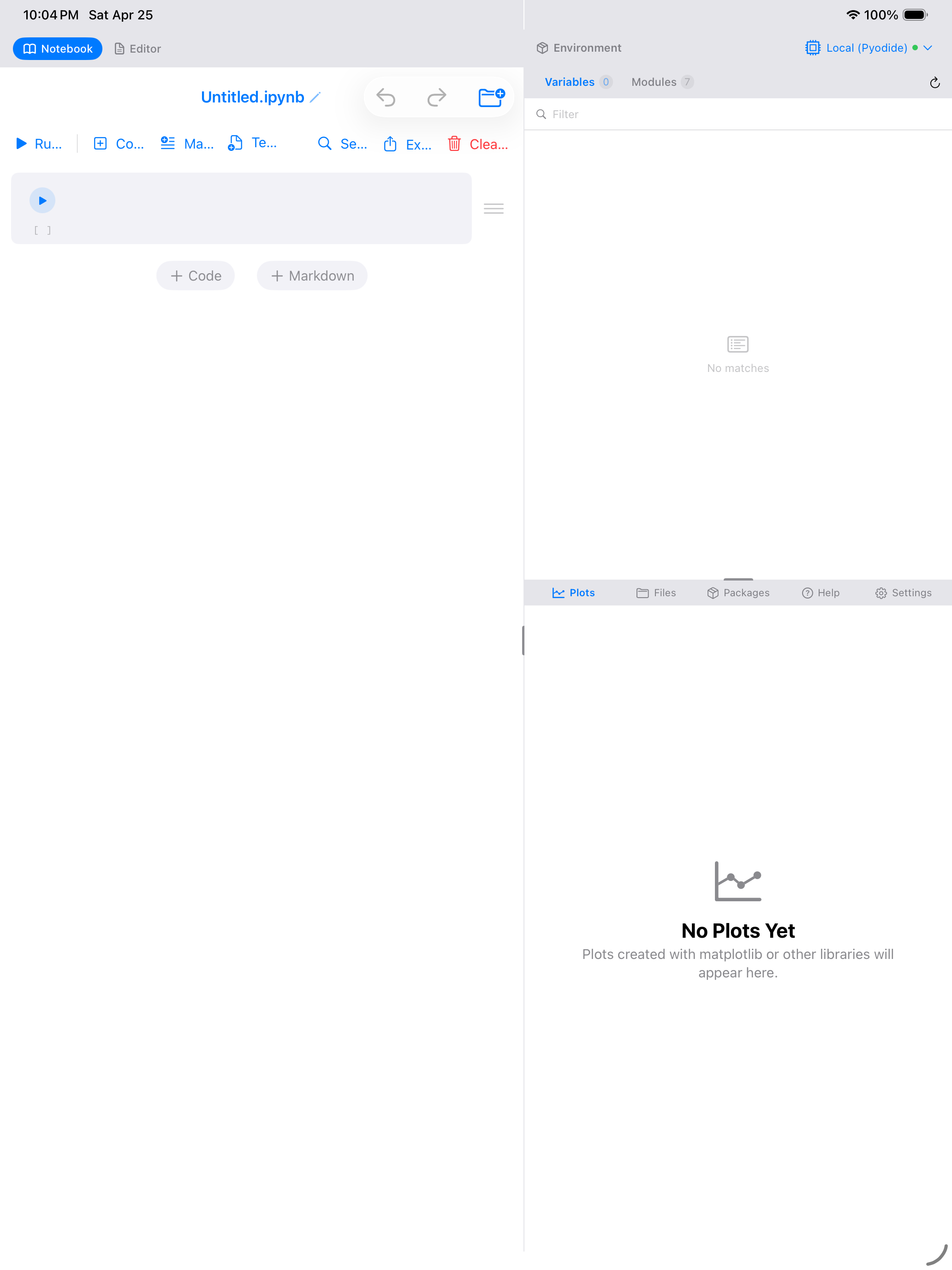 Blank notebook ready for input on iPad