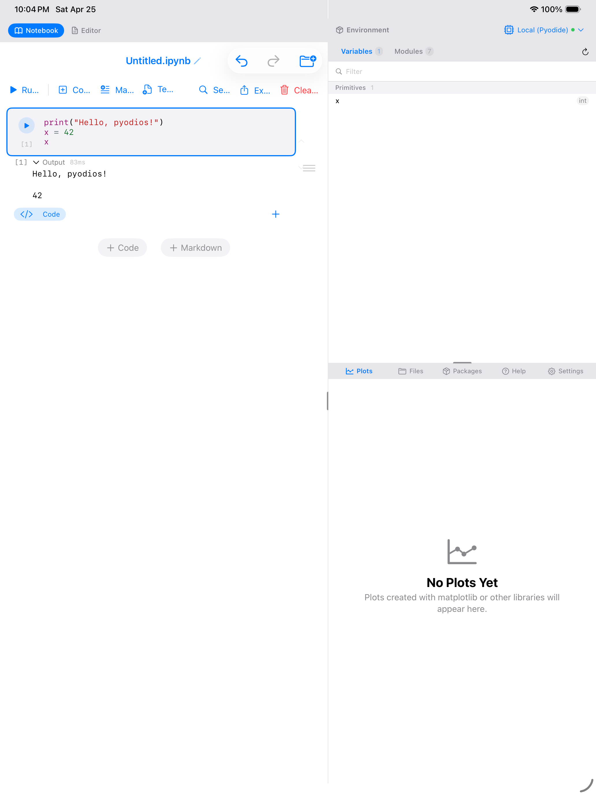 Notebook with Python output on iPad