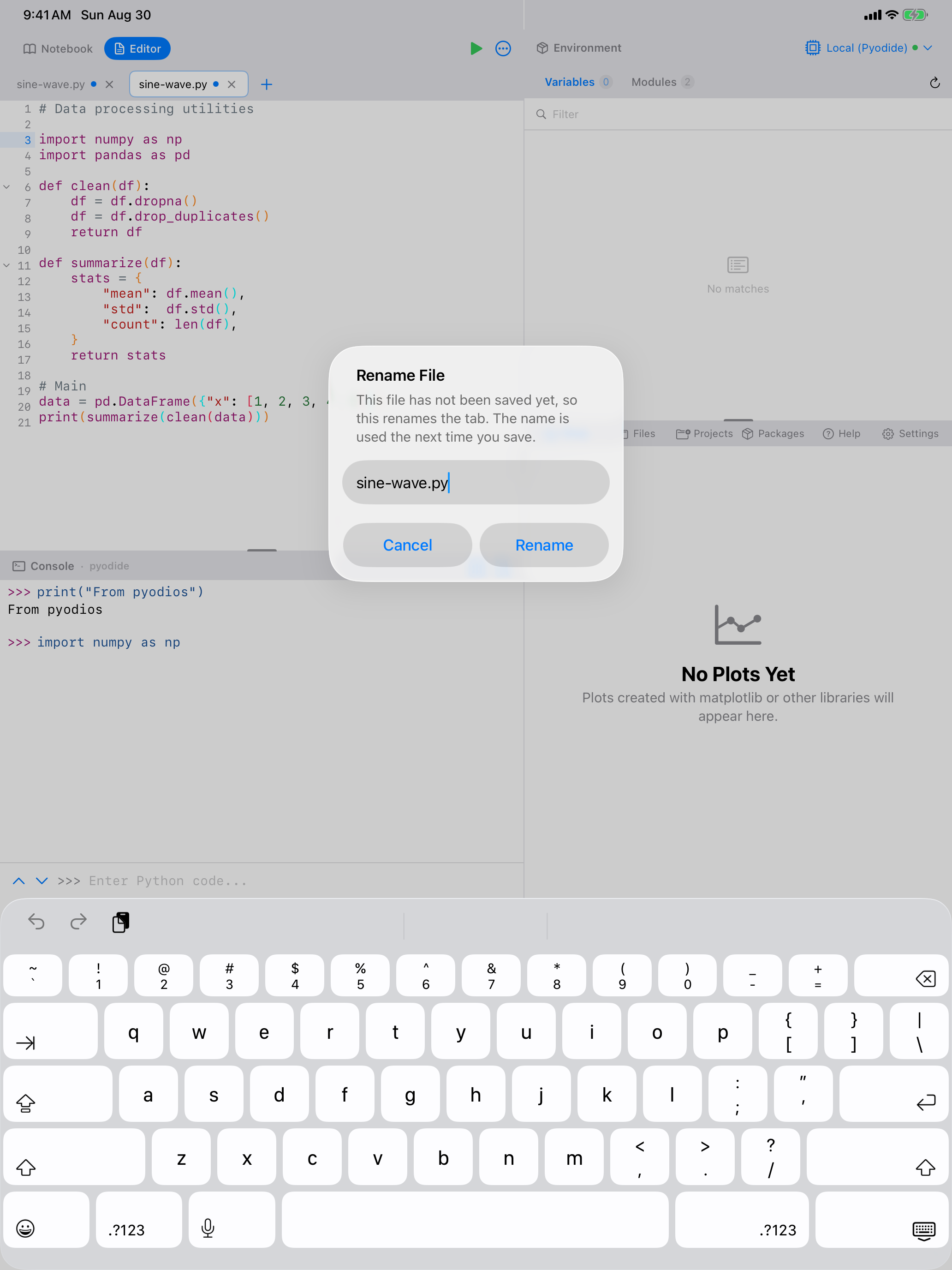 Rename File dialog in the Editor on iPad, shown over the workspace layout