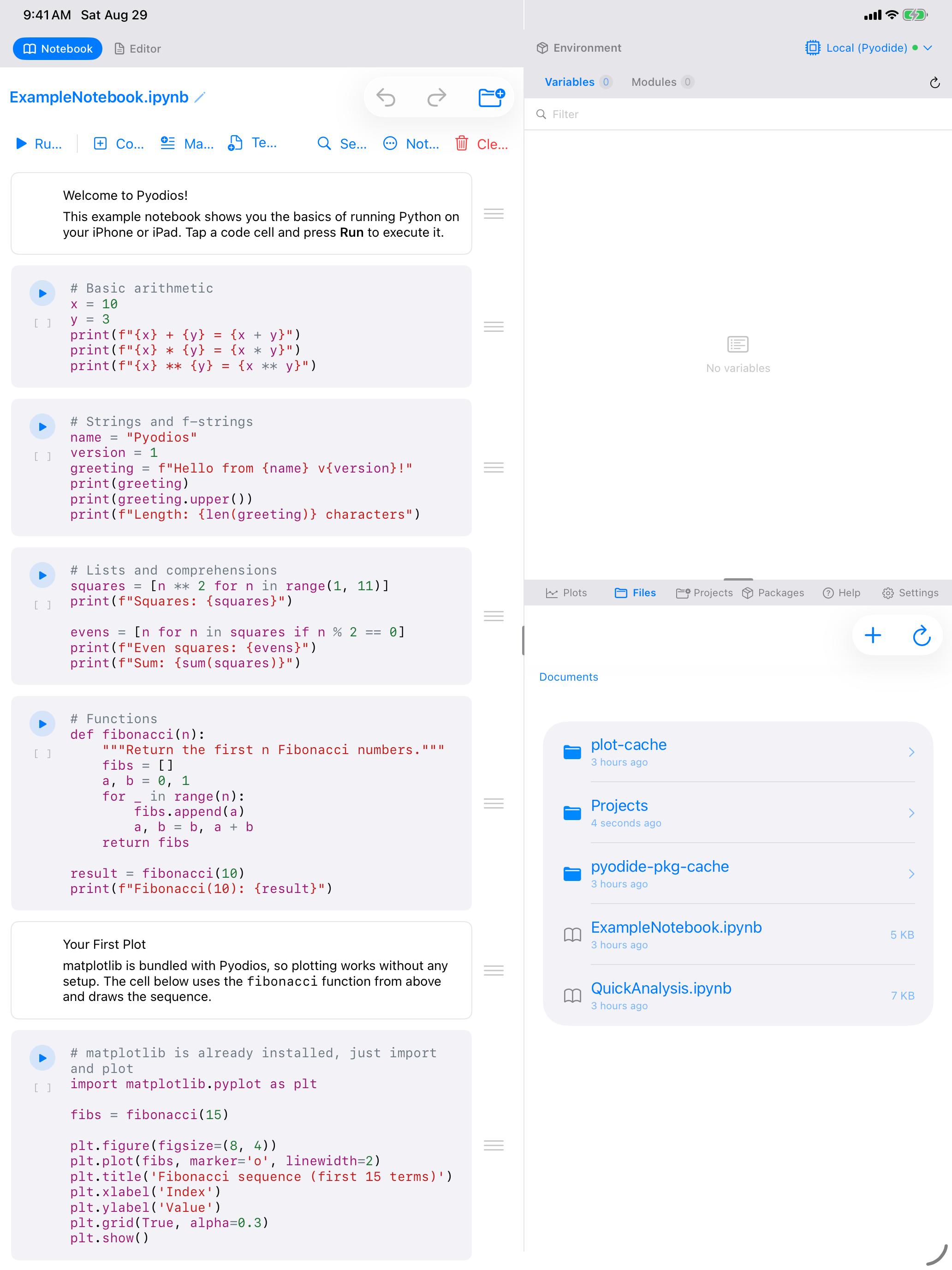 ExampleNotebook open on iPad, showing the Welcome to Pyodios overview above the first code cell