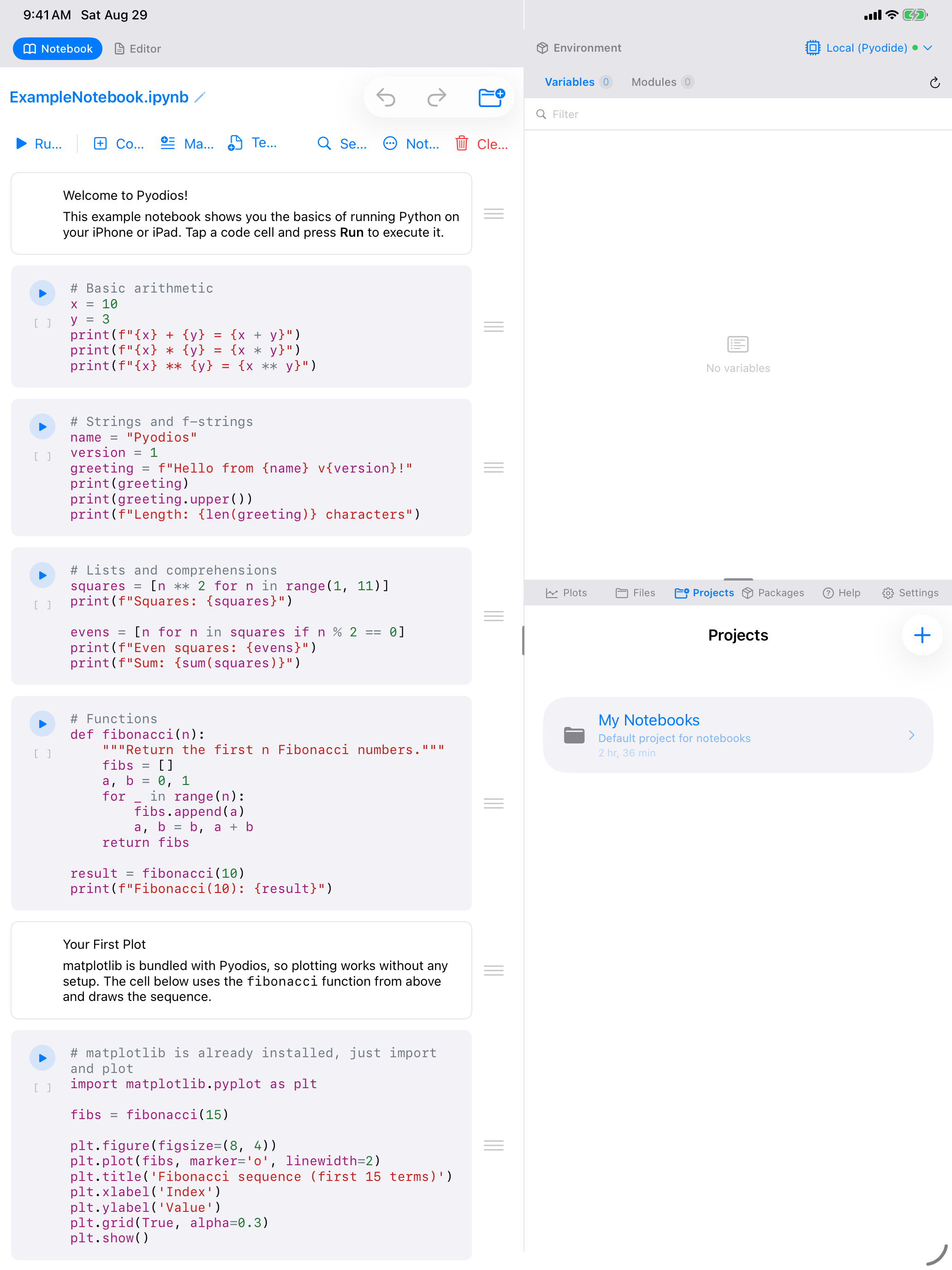 Projects list on iPad showing the active project marked with a checkmark