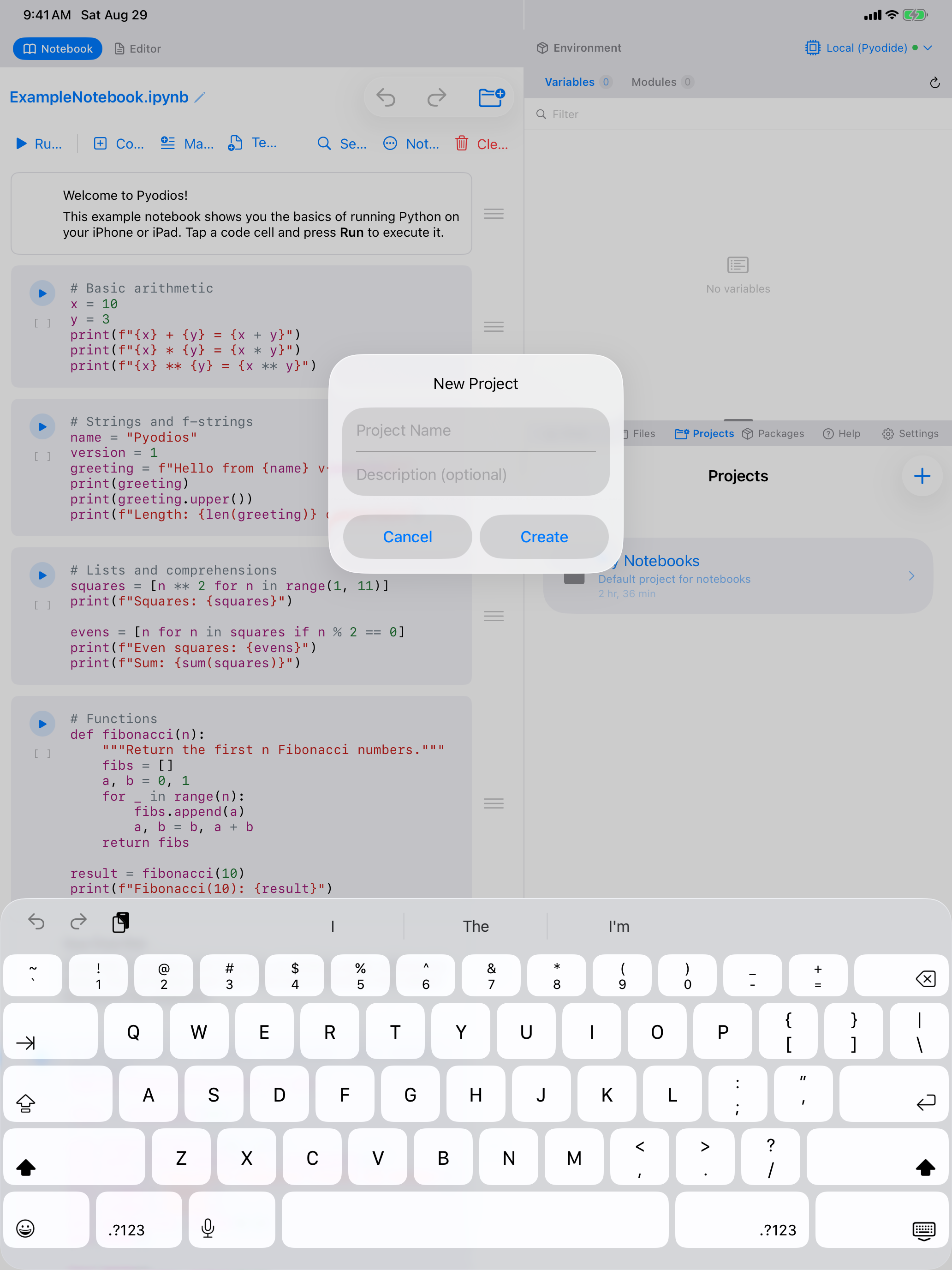 New Project dialog on iPad with fields for a name and an optional description