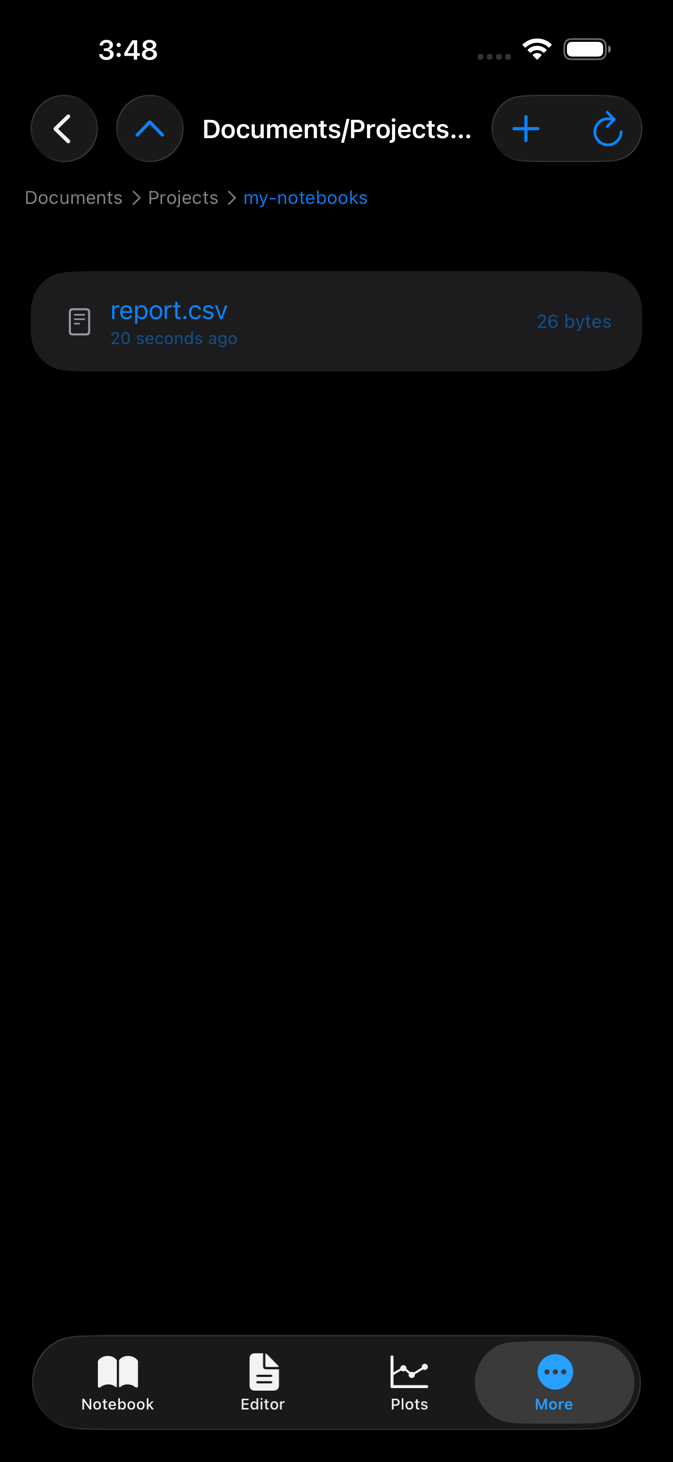 report.csv listed in the Files browser inside the project folder in dark mode