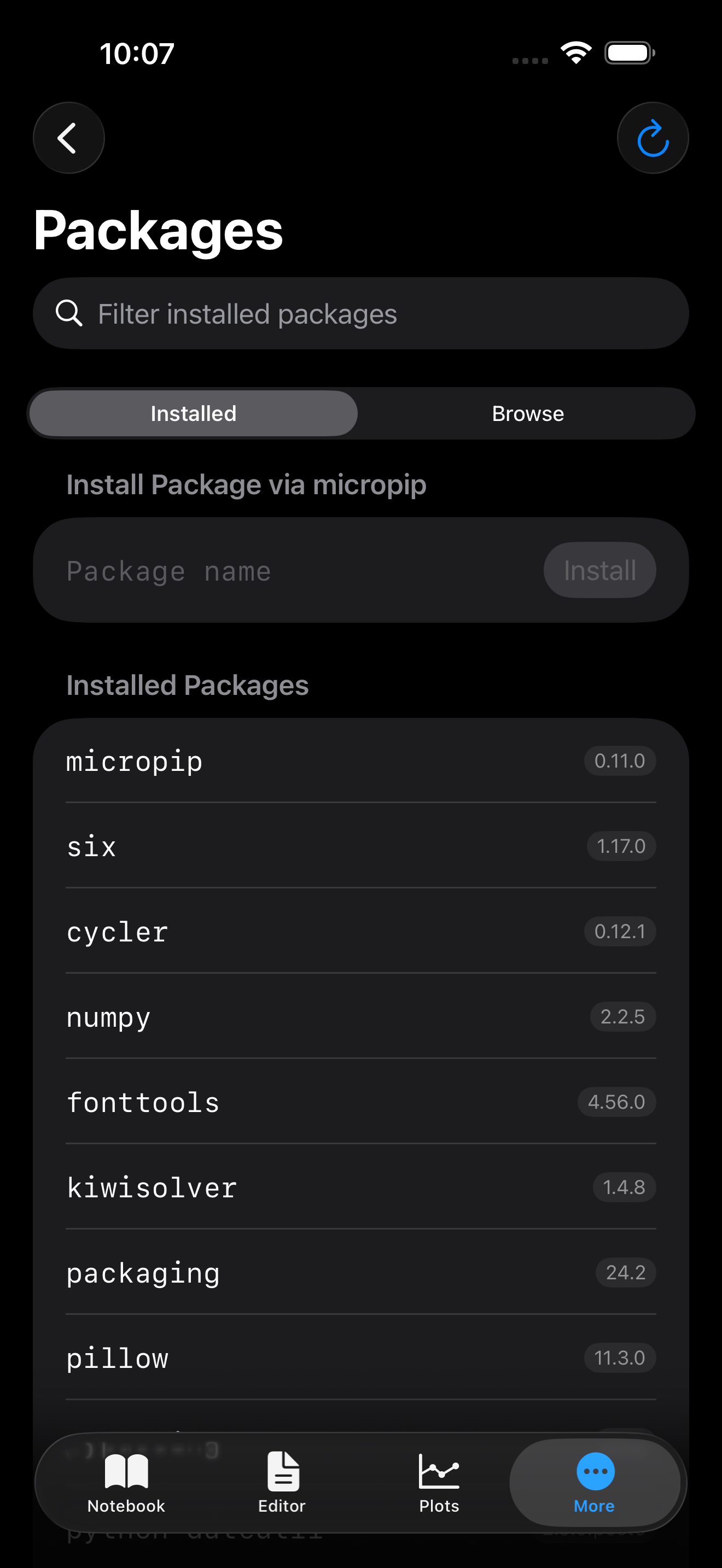 Packages tab on iPhone in dark mode with inline Install Package field