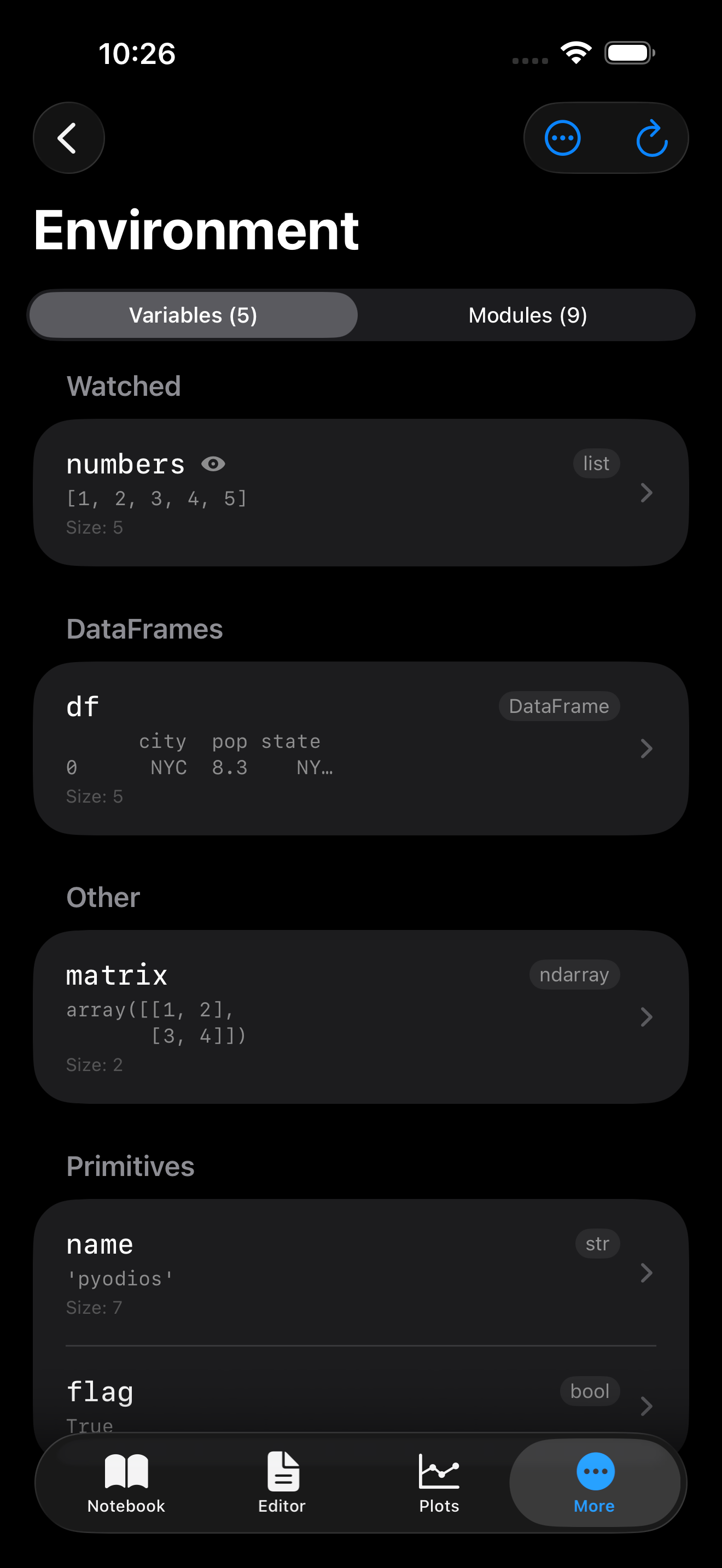 Environment tab on iPhone in dark mode showing variables grouped by type