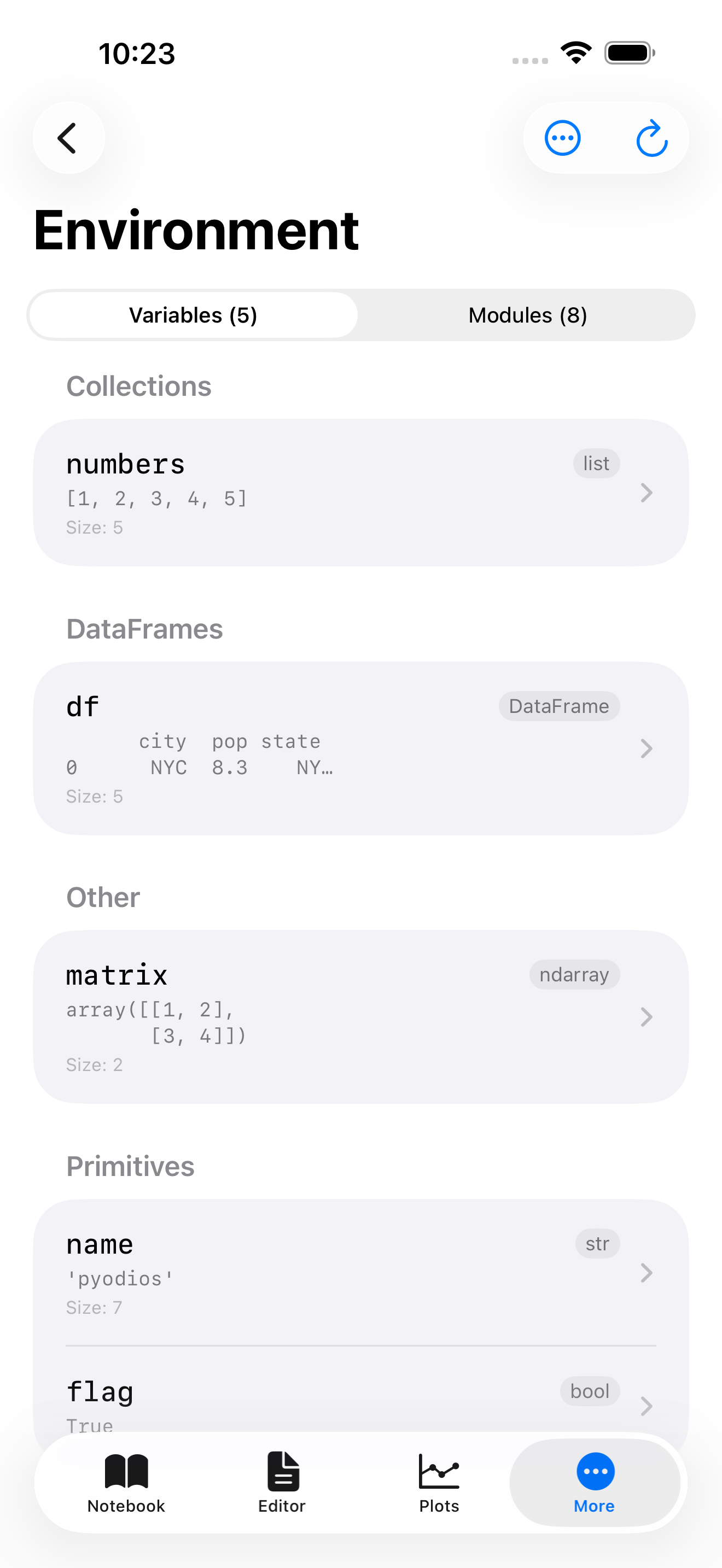 Environment tab on iPhone showing variables grouped by type with names, types, sizes, and previews