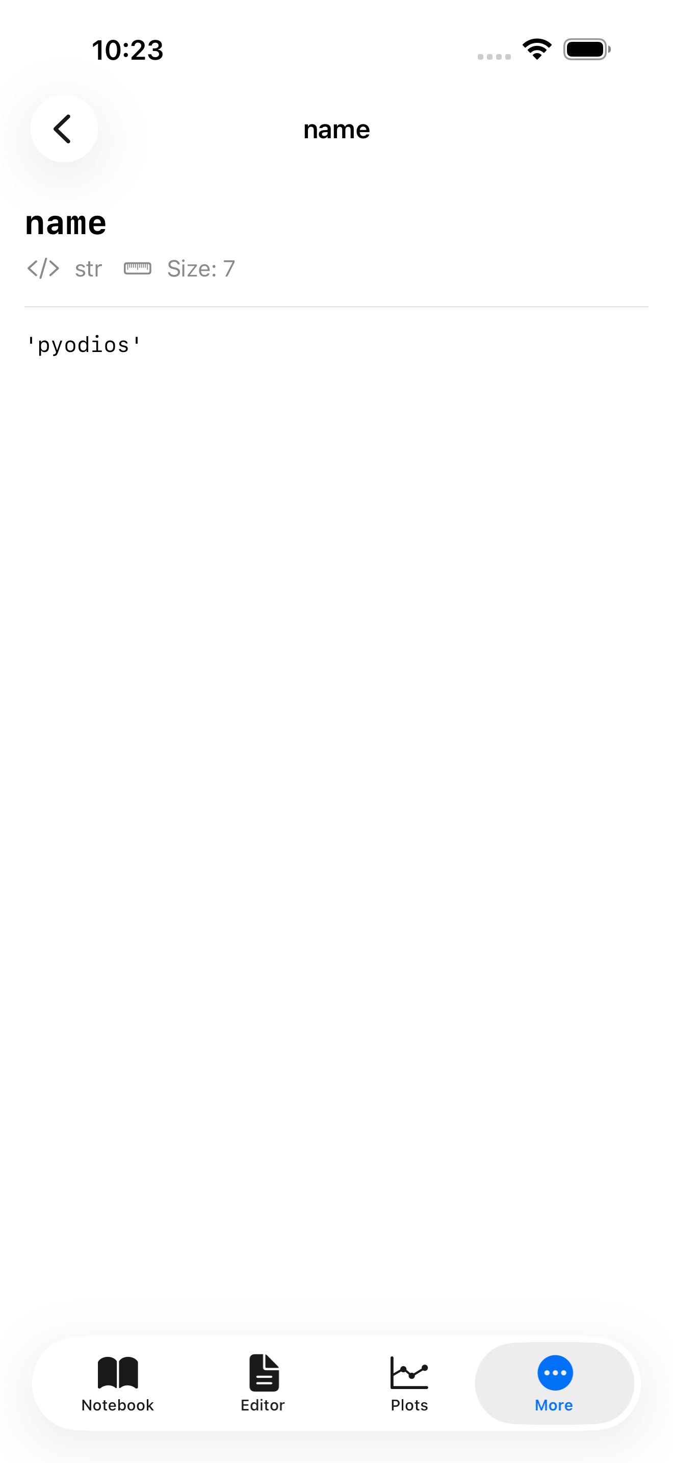 Variable detail view on iPhone showing the 'name' string variable with type, size, and value