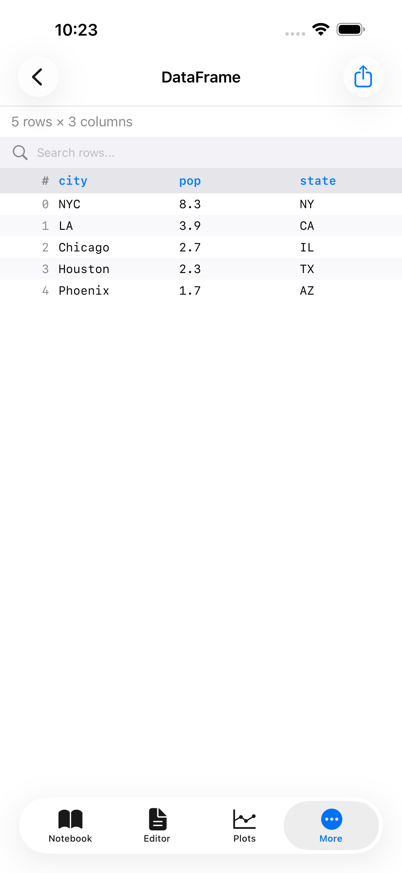 DataFrame viewer on iPhone showing a scrollable table