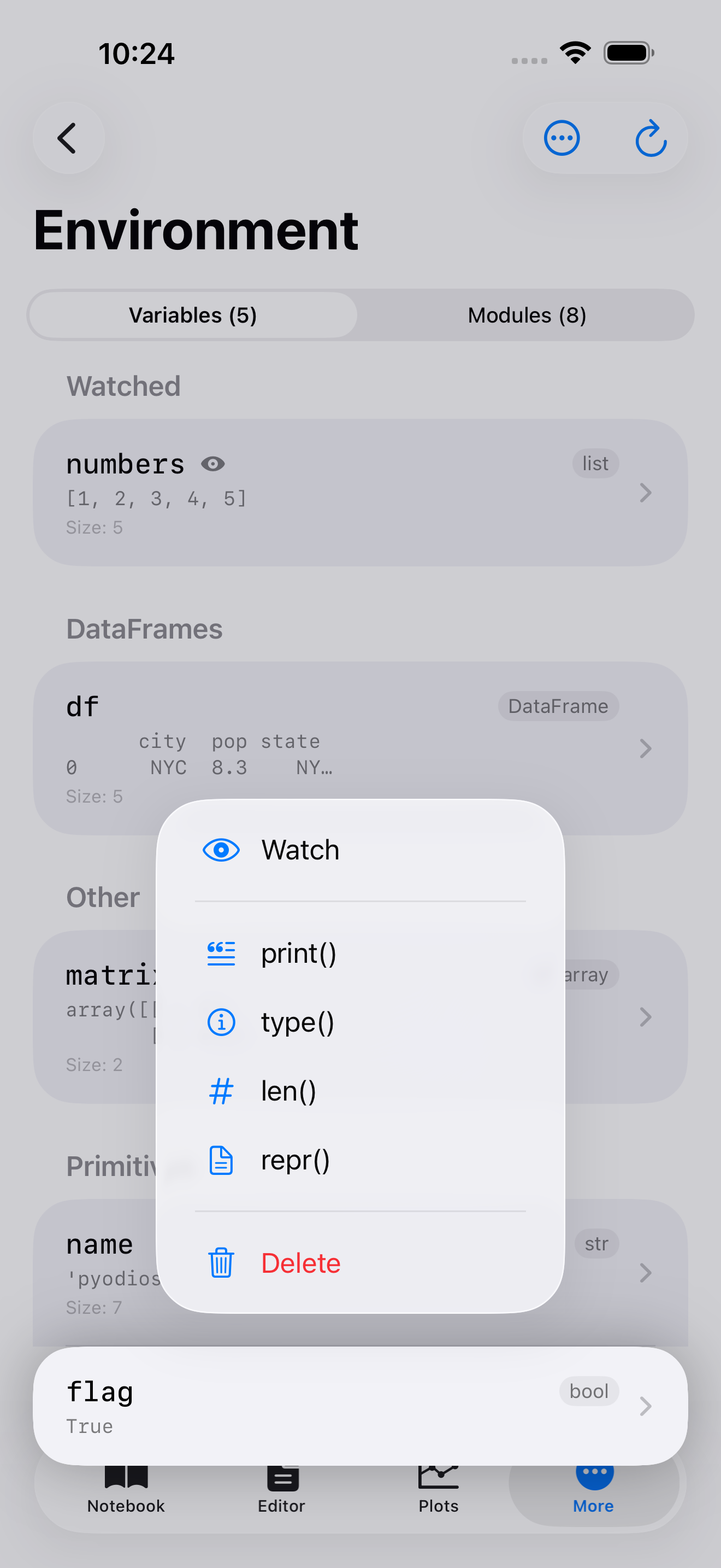 Long-press context menu on iPhone showing print, type, len, repr, and Delete actions